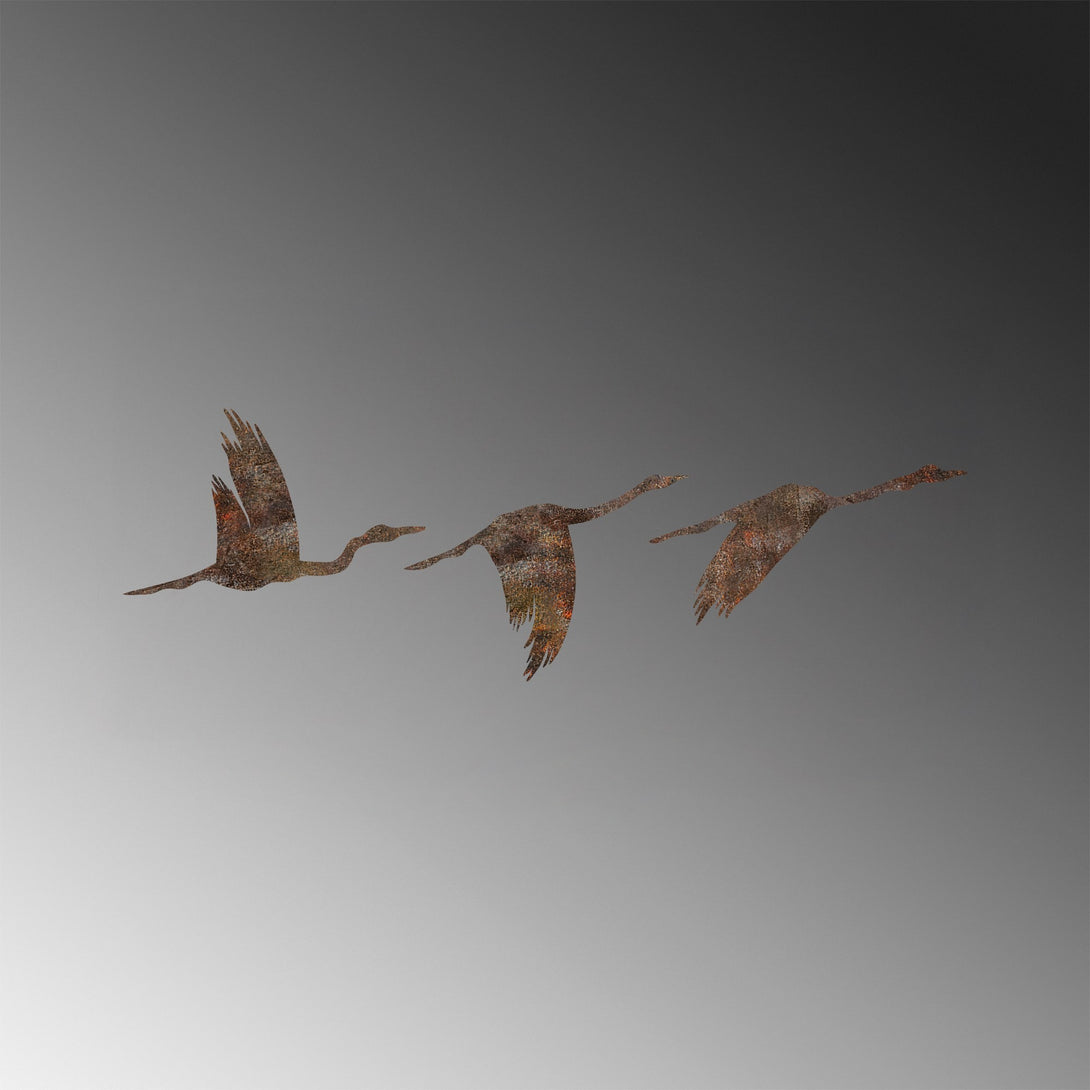 Metalna zidna dekoracija, Rusty Birds 1-Vasdom.hr