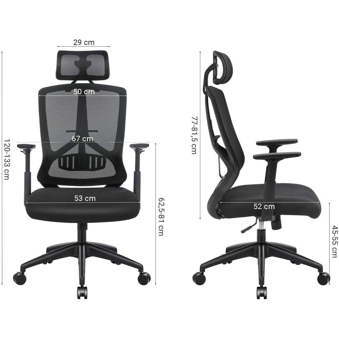 Ergonomska uredska stolica s lumbalnom potporom, crna | SONGMICS-Vasdom.hr