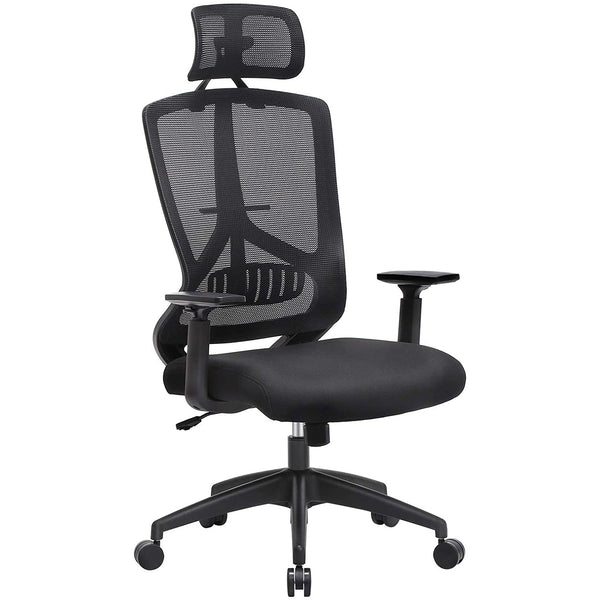 Ergonomska uredska stolica s lumbalnom potporom, crna | SONGMICS-Vasdom.hr