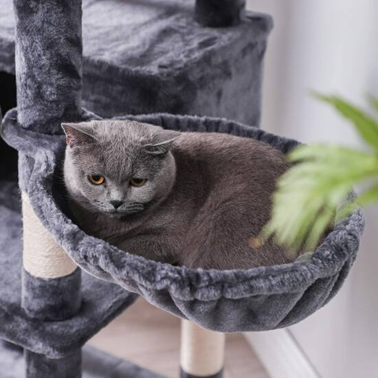 XXL Cat stan 168 cm, Smoky grey | SONGMICS-Vasdom.hr